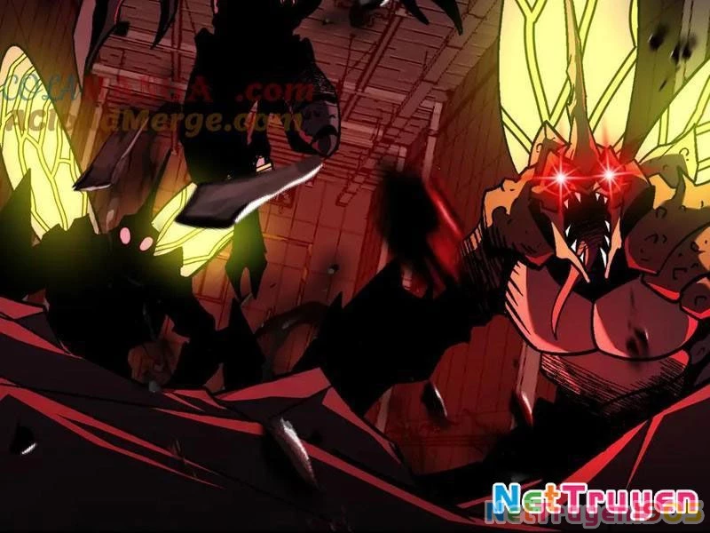 Tai Ách Cấp Mục Sư Chapter 48 - 101