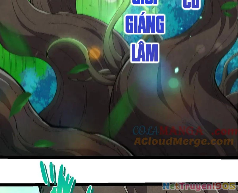 Chuyển Sinh Thành Liễu Đột Biến Chapter 388 - 53