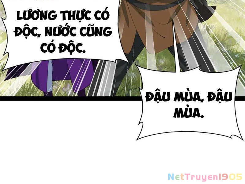 Chàng Rể Mạnh Nhất Lịch Sử Chapter 306 - 5