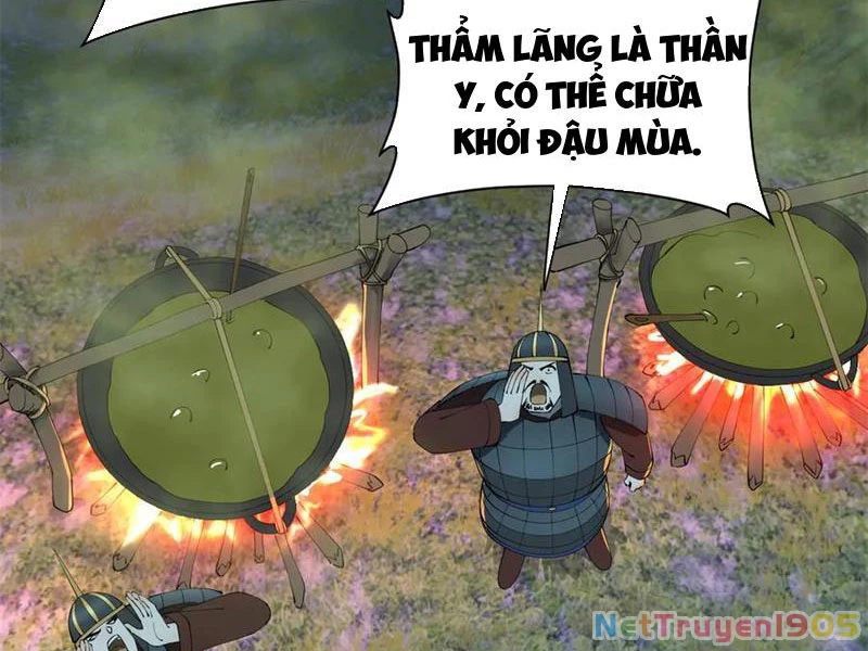 Chàng Rể Mạnh Nhất Lịch Sử Chapter 306 - 9
