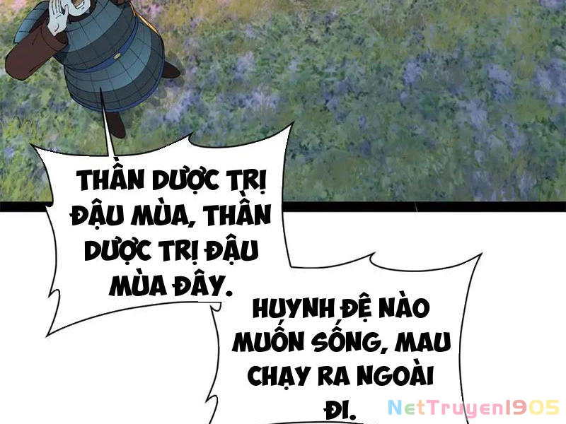 Chàng Rể Mạnh Nhất Lịch Sử Chapter 306 - 10