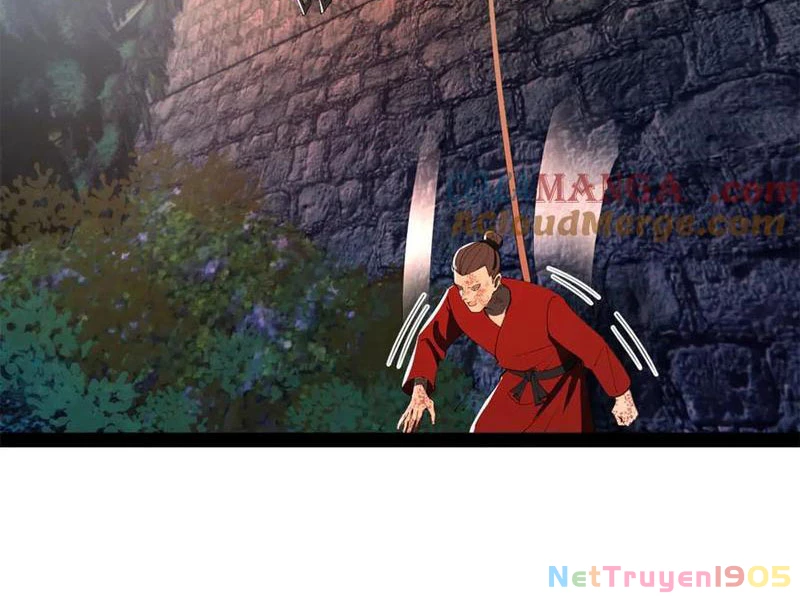 Chàng Rể Mạnh Nhất Lịch Sử Chapter 306 - 15