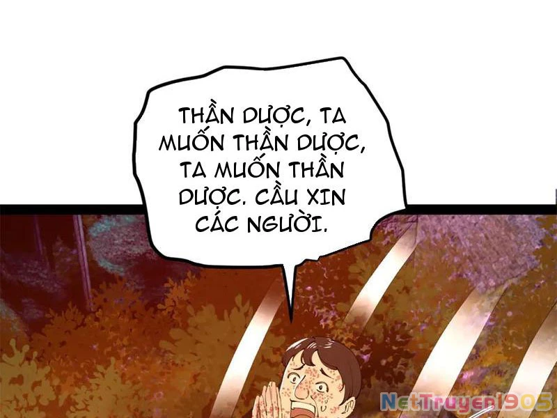 Chàng Rể Mạnh Nhất Lịch Sử Chapter 306 - 16