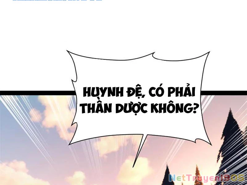 Chàng Rể Mạnh Nhất Lịch Sử Chapter 306 - 23
