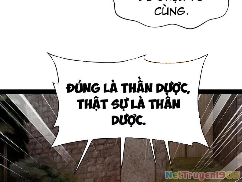 Chàng Rể Mạnh Nhất Lịch Sử Chapter 306 - 27
