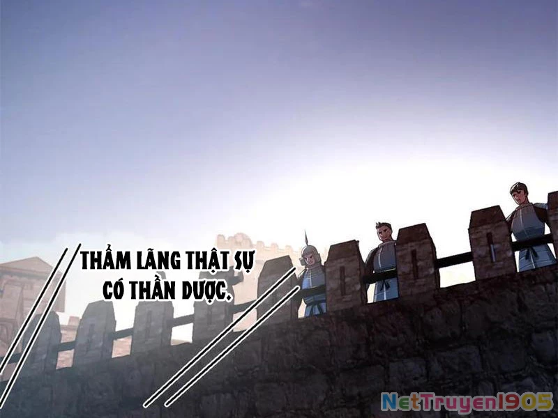 Chàng Rể Mạnh Nhất Lịch Sử Chapter 306 - 32