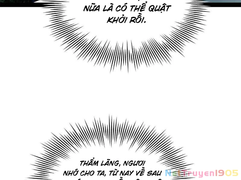 Chàng Rể Mạnh Nhất Lịch Sử Chapter 306 - 71