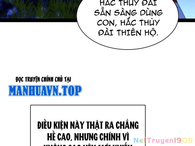 Chàng Rể Mạnh Nhất Lịch Sử Chapter 306 - 114