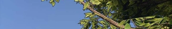 Ngày Tận Thế Đã Đến Chapter 17 - 374