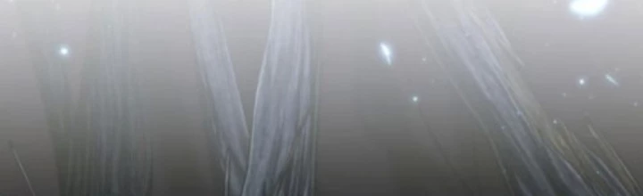 Chiến Binh Hồi Quy Chapter 86 - 2