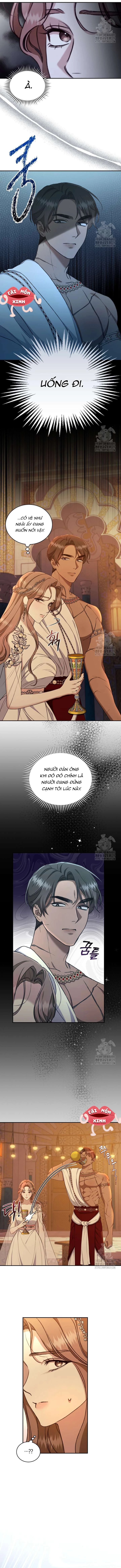 Khu Rừng Hoang Dã Chapter 23 - 10