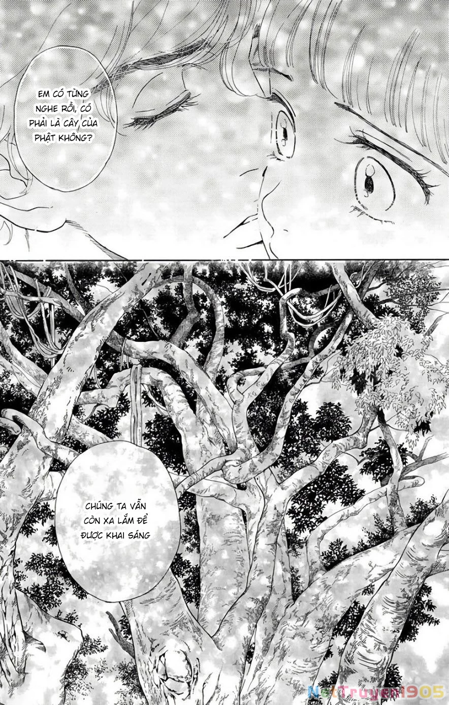 Madame Petit Chapter 51 - 14