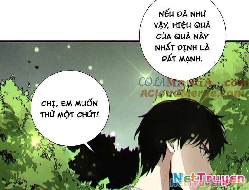 Thảm Họa Tử Linh Sư Chapter 191 - 21