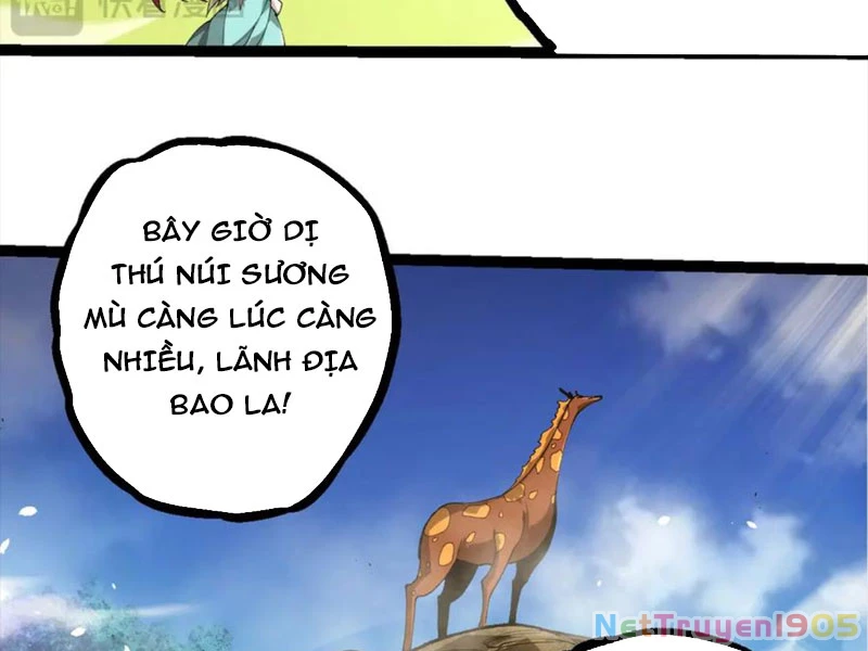 Chuyển Sinh Thành Liễu Đột Biến Chapter 389 - 16