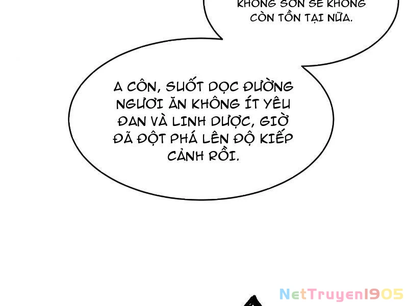 Gặp Mạnh Thì Mạnh, Ta Tu Vi Vô Thượng Hạn Chapter 55 - 166