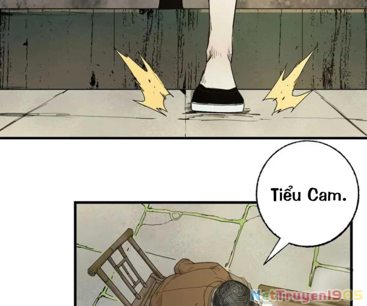 Xích Tâm Tuần Thiên Chapter 33 - 38