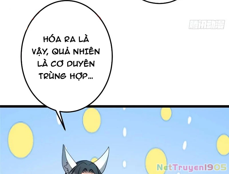 Chưởng Môn Khiêm Tốn Chút Chapter 517 - 11