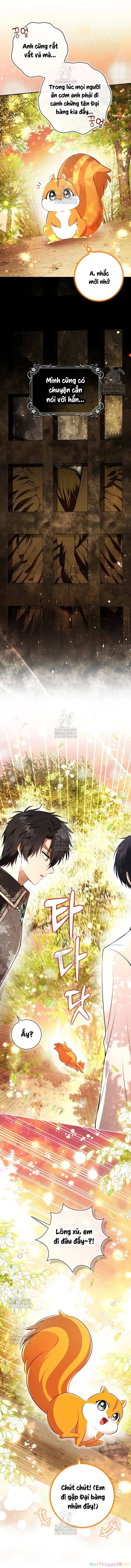 Sóc Con Tài Năng Chapter 113 - 5