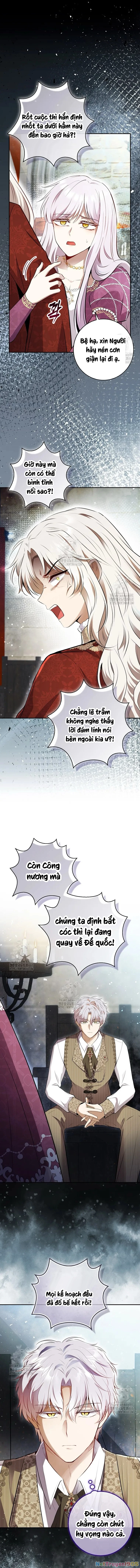 Sóc Con Tài Năng Chapter 113 - 10