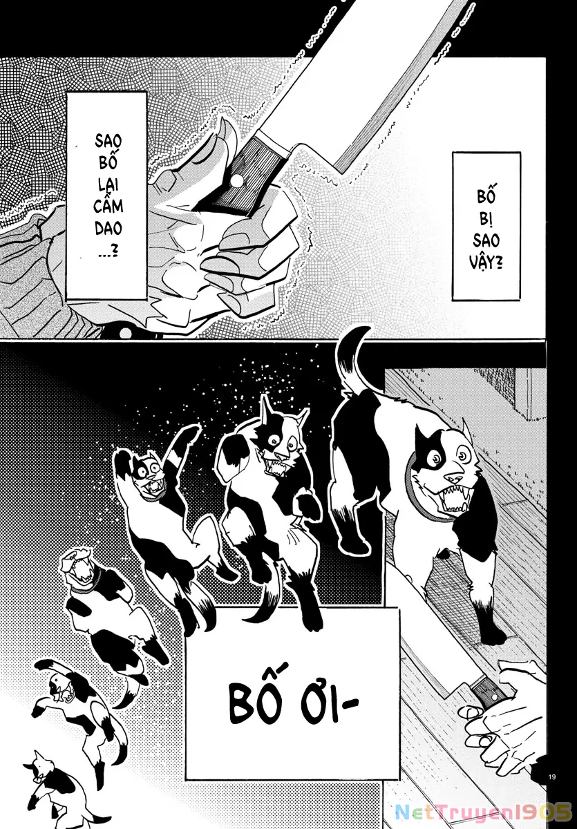 Lý Trí Của Taika Chapter 22 - 19