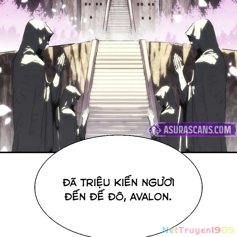 Bản Năng Hồi Quy Của Chó Săn Chapter 71 - 159