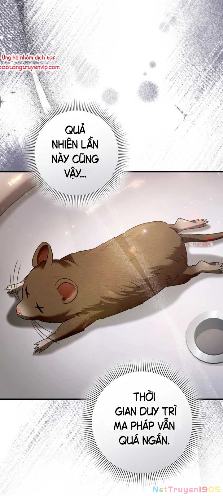 Huyễn Tượng Thợ Săn Tại Dị Giới Chapter 45 - 13