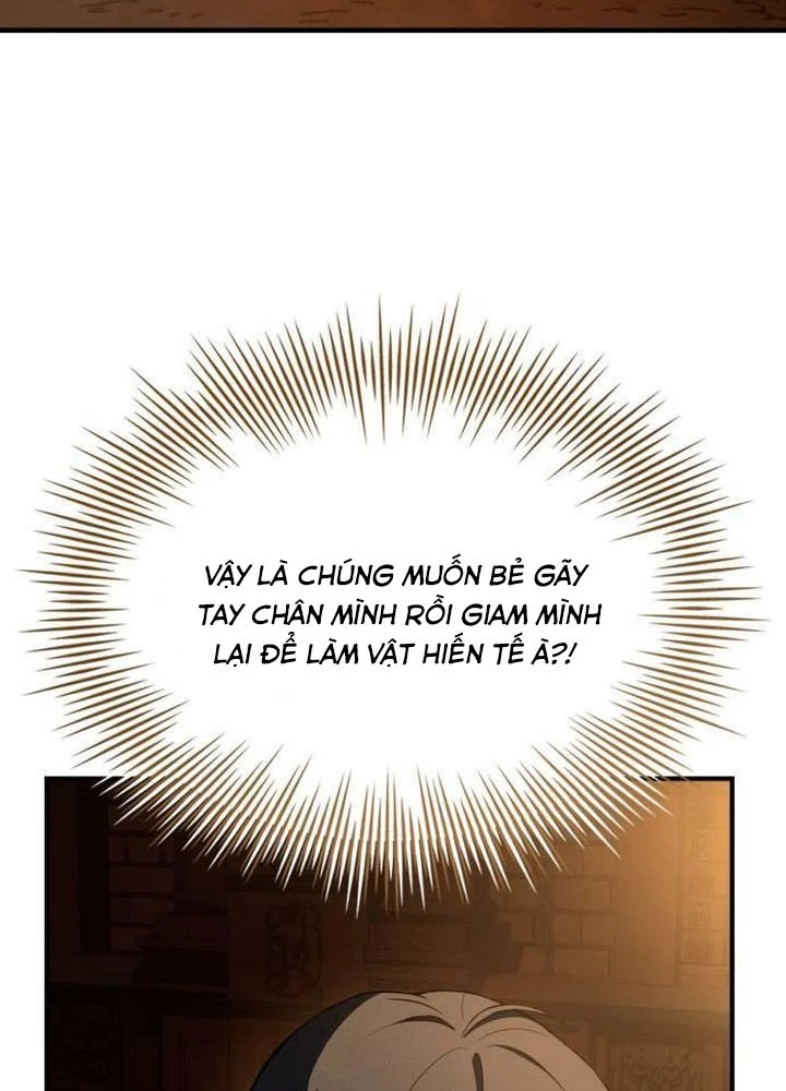 Kim Chiến Sĩ: Hành Trình Xây Dựng Đặc Tính Chapter 45 - 79