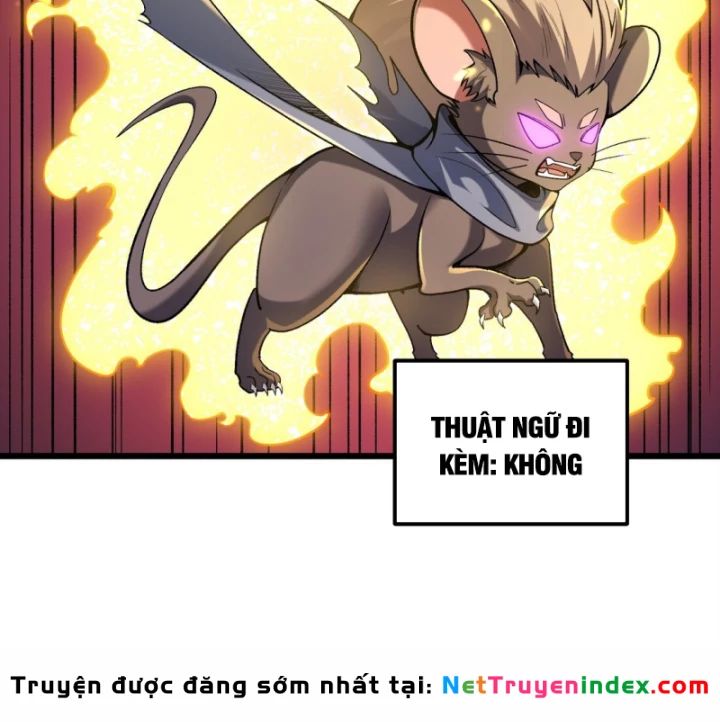 Thẻ Bài Của Ta Có Thể Vô Hạn Tiến Hóa! Chapter 3 - 135