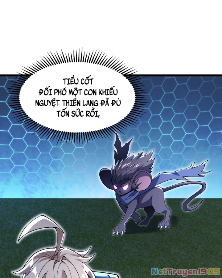 Thẻ Bài Của Ta Có Thể Vô Hạn Tiến Hóa! Chapter 4 - 17