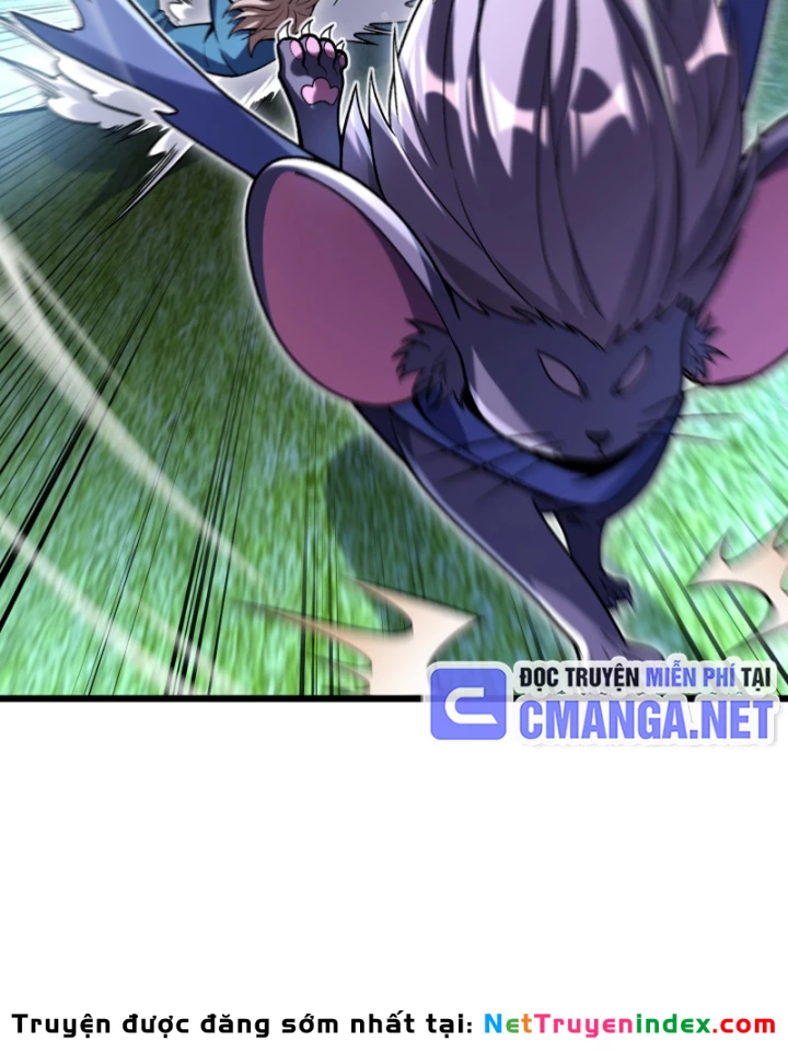 Thẻ Bài Của Ta Có Thể Vô Hạn Tiến Hóa! Chapter 4 - 47