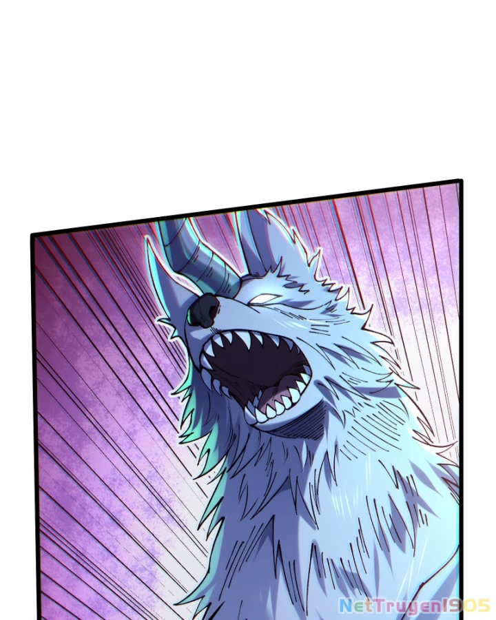 Thẻ Bài Của Ta Có Thể Vô Hạn Tiến Hóa! Chapter 4 - 96