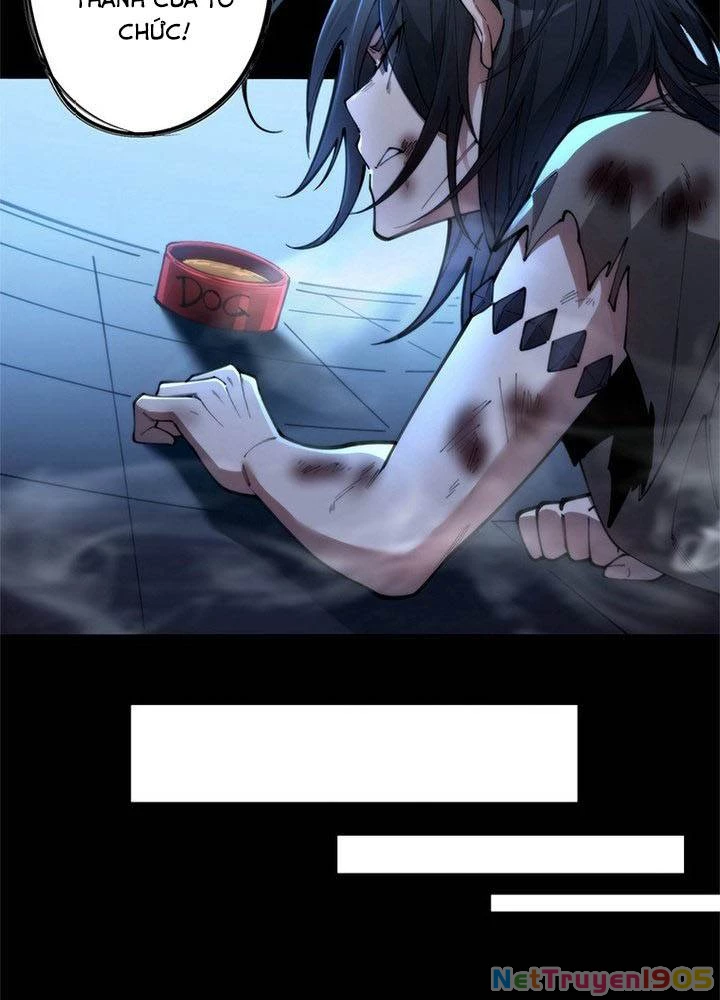 Ranker SSS Được Chọn Chapter 2 - 17