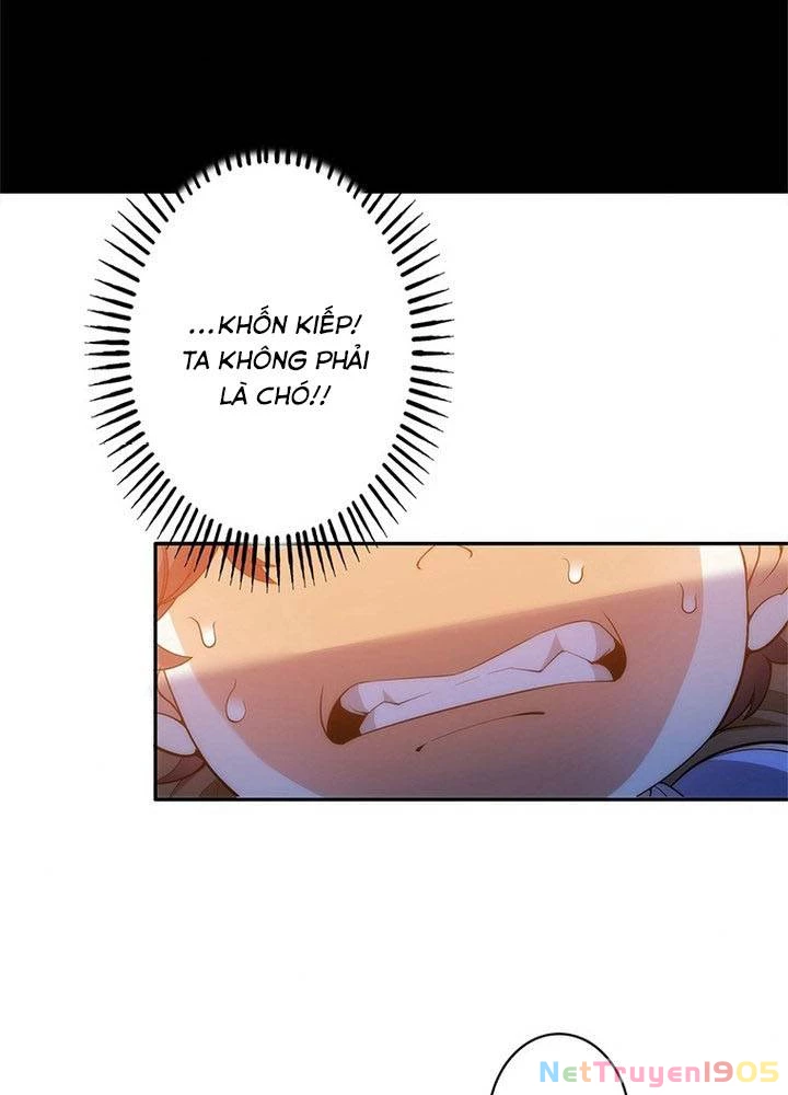 Ranker SSS Được Chọn Chapter 2 - 18