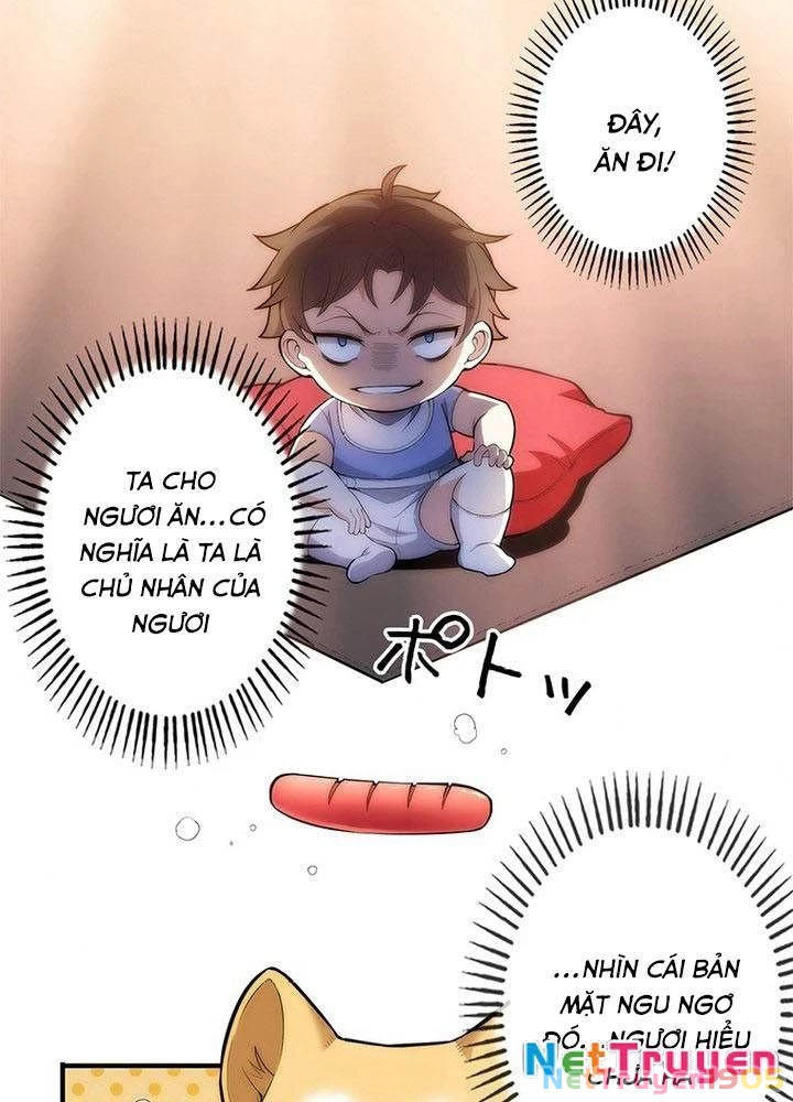 Ranker SSS Được Chọn Chapter 2 - 41
