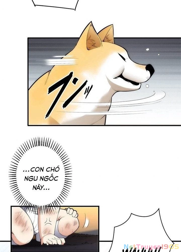 Ranker SSS Được Chọn Chapter 2 - 45