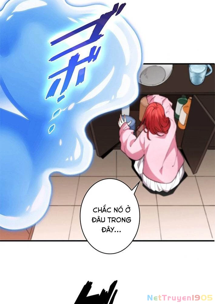 Ranker SSS Được Chọn Chapter 3 - 2