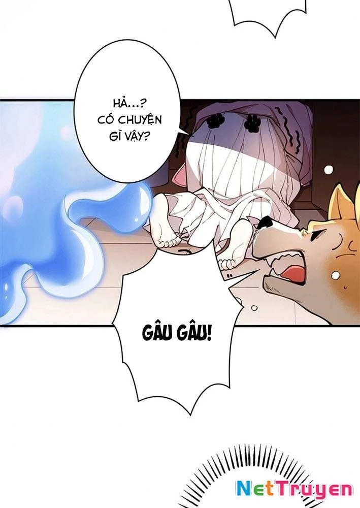 Ranker SSS Được Chọn Chapter 3 - 6