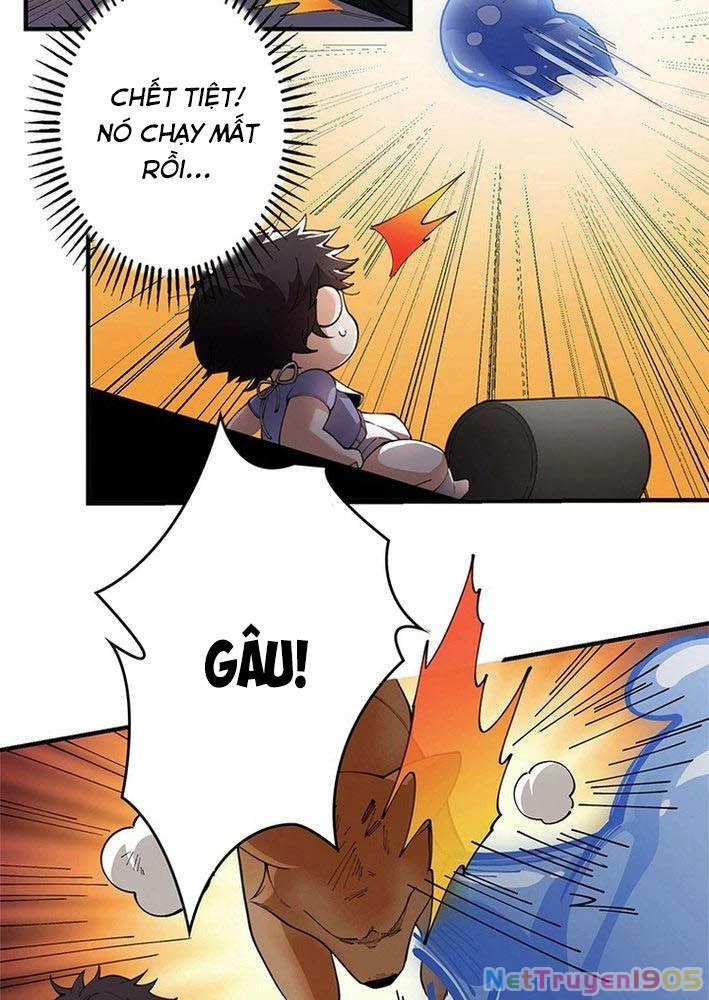 Ranker SSS Được Chọn Chapter 3 - 24