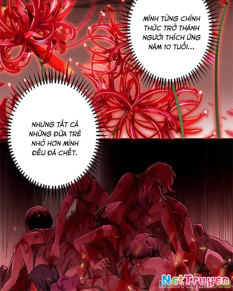 Ranker SSS Được Chọn Chapter 4 - 16