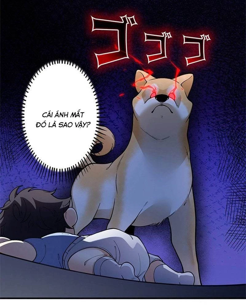 Ranker SSS Được Chọn Chapter 4 - 25