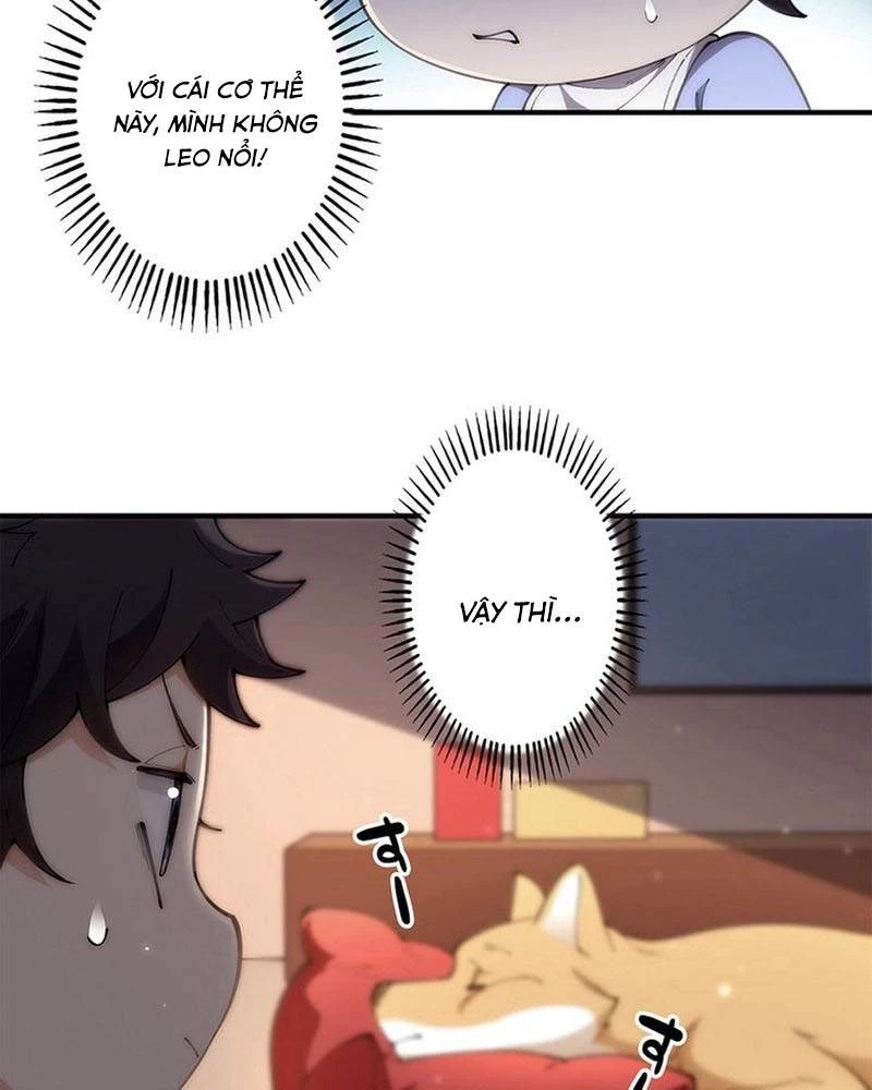 Ranker SSS Được Chọn Chapter 5 - 25