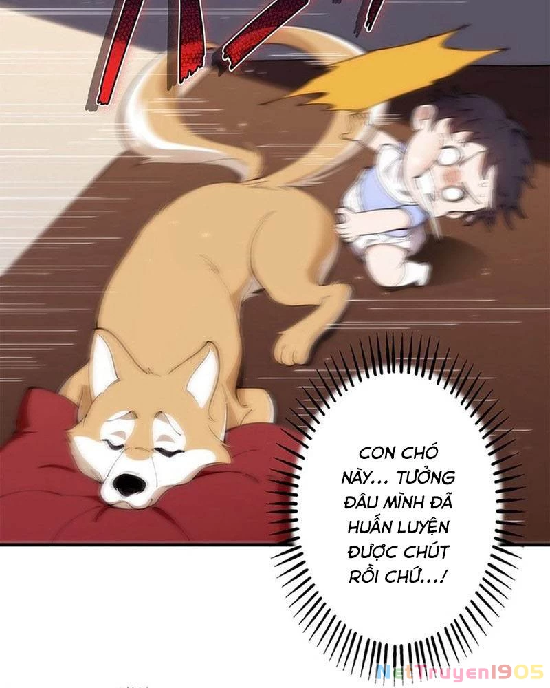 Ranker SSS Được Chọn Chapter 5 - 28