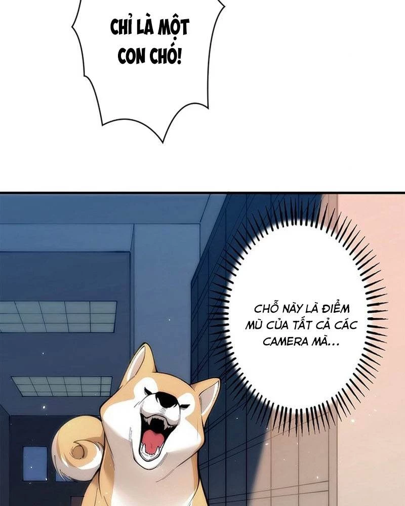 Ranker SSS Được Chọn Chapter 5 - 47