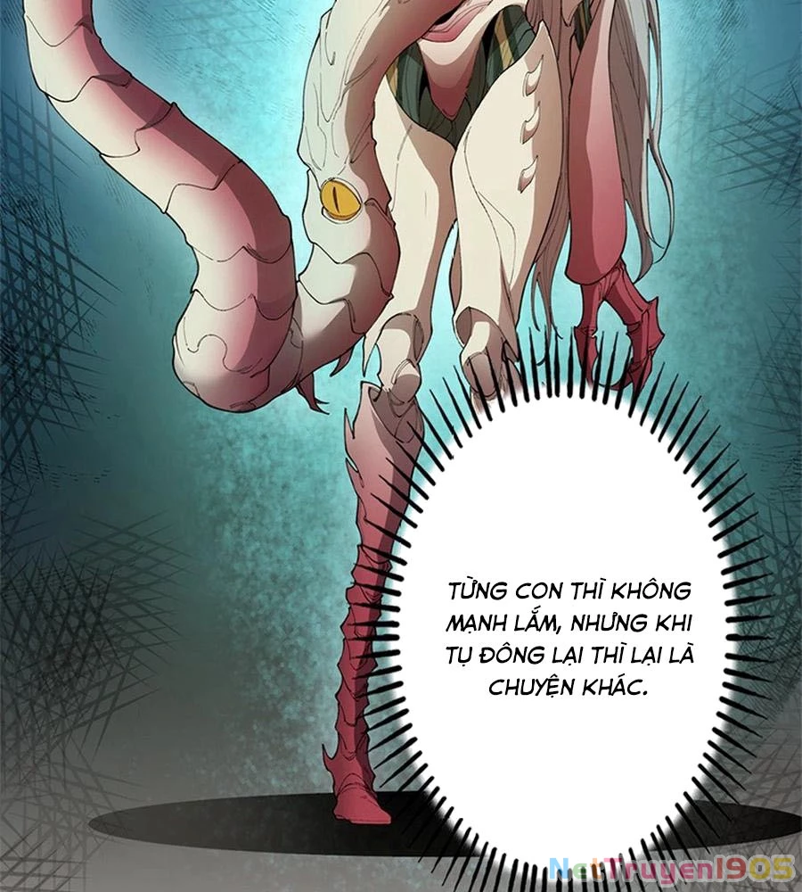 Ranker SSS Được Chọn Chapter 9 - 14