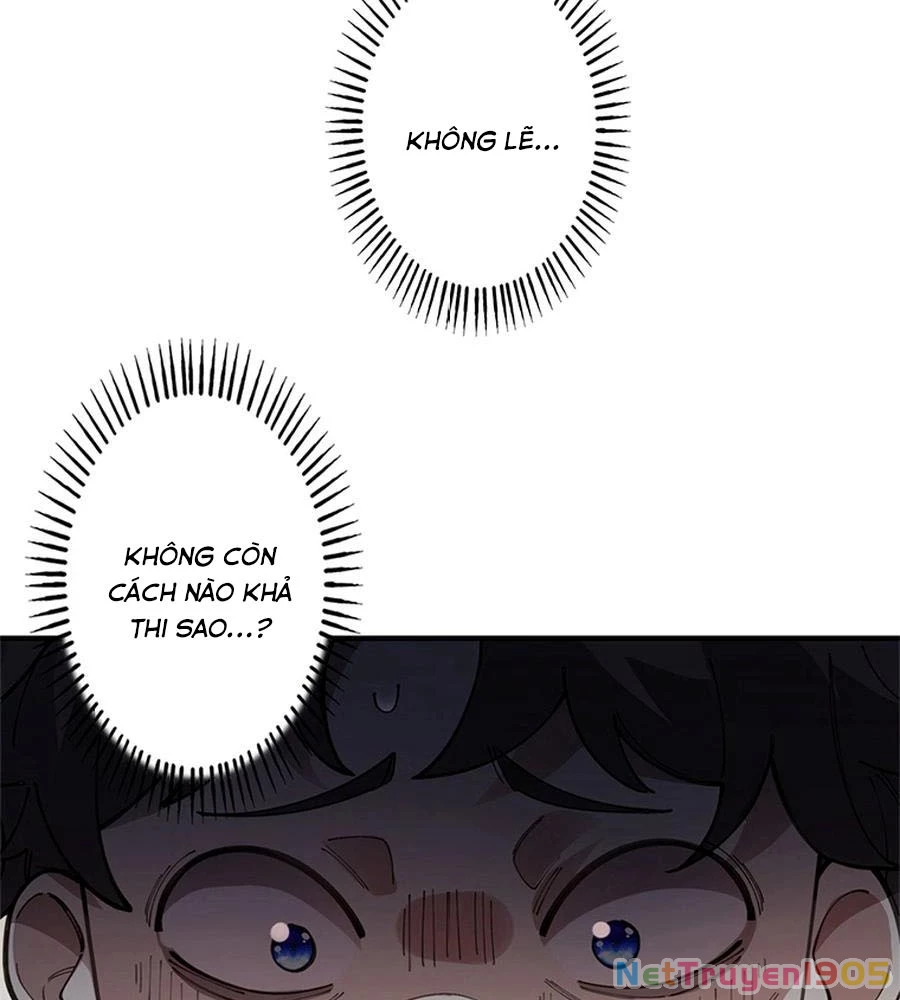 Ranker SSS Được Chọn Chapter 9 - 43
