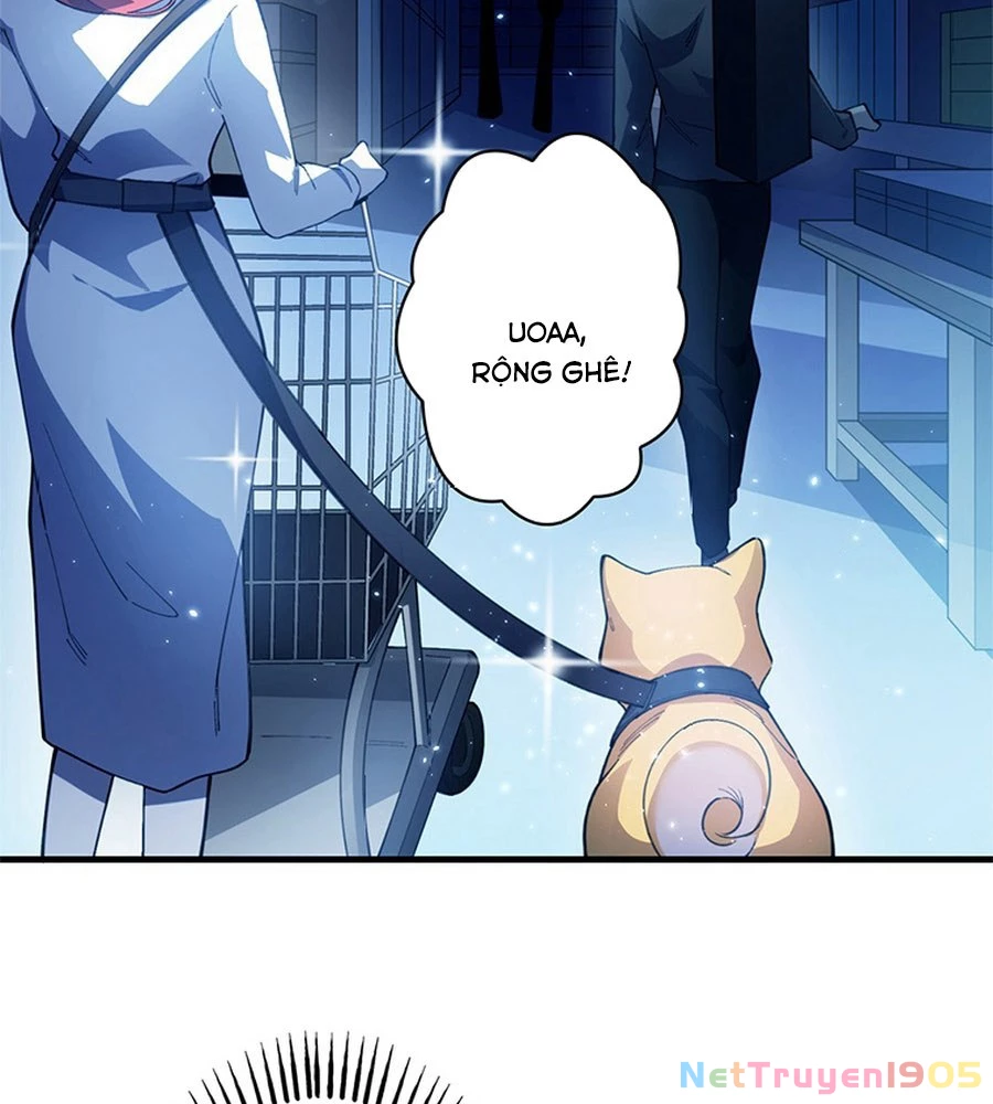 Ranker SSS Được Chọn Chapter 10 - 60