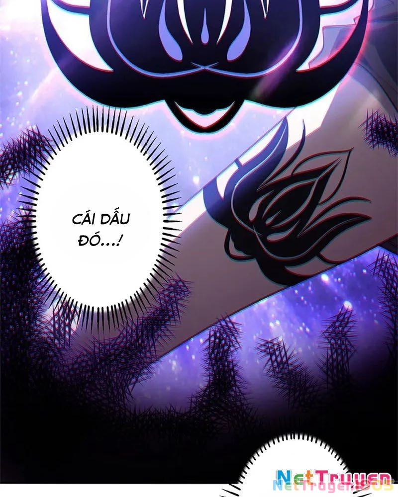 Ranker SSS Được Chọn Chapter 11 - 6