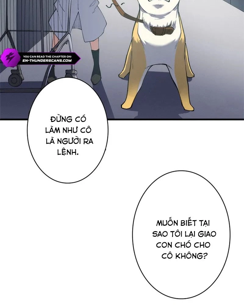 Ranker SSS Được Chọn Chapter 11 - 49