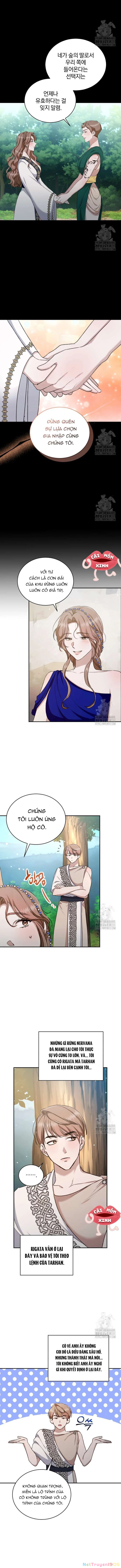 Khu Rừng Hoang Dã Chapter 24 - 11