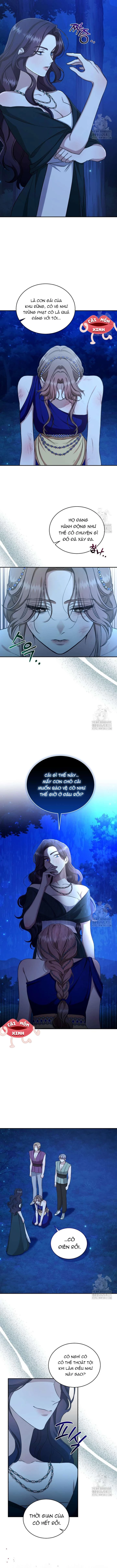 Khu Rừng Hoang Dã Chapter 24 - 13